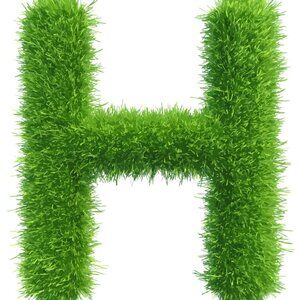 Meet your Posher, Harrison